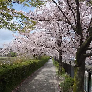  招待所 君家伏见公寓 日本